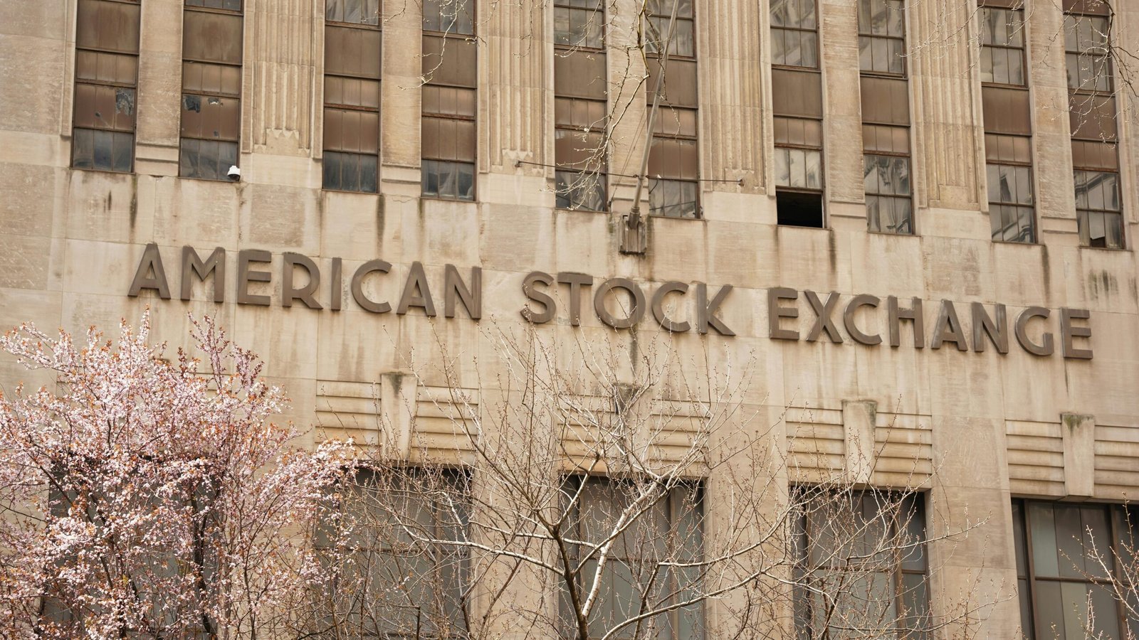 What Happened When Wall Street Crashed in 1929?
